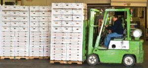 warehouse forklift driver moving inventory shipment