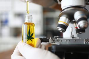 Medical Cannabinoid Oil in Pharmaceutical Lab 
