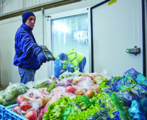 pallet of produce scanned by worker in cold storage at hellofresh